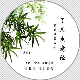 了凡生意经第6集