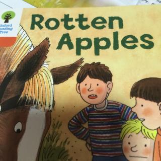 Rtten apples