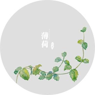 《植物人格全书》-CT13教主型人格-蜂香薄荷（温佑君著）