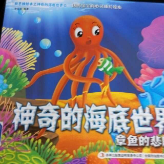 神奇的海底世界—章鱼的悲剧