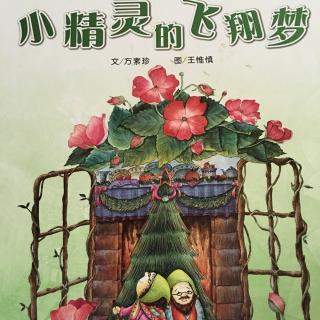 小美讲故事《小精灵的飞翔梦》：讲述者：小美