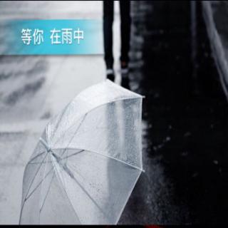 等你 在雨中