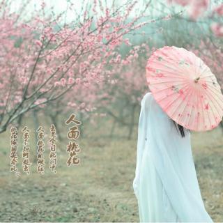 《人面桃花》（作者：半树；朗诵：不蔓不枝）