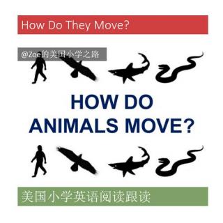 美国小学英语阅读每日跟读How Do They Move?