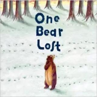 🐻🐻🐻🐻🐻One bear lost🐻🐻🐻🐻🐻