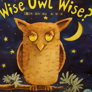培生双语 Is the wise owl wise猫头鹰真的有智慧吗