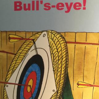 bulls-eye