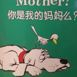 兰登双语 Are you my mother你是我妈妈吗