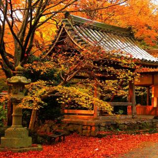 【World Traveler】京都之旅一早比一世遥远
