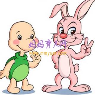 胎教故事：小兔和乌龟