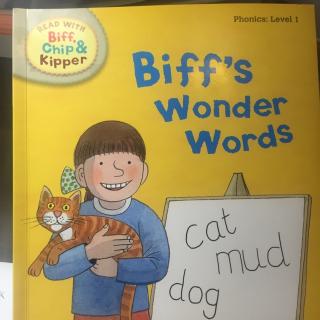 biffswonderword