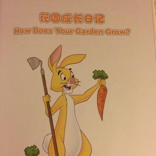 4. How Does Your Garden Grow?