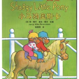 Shaggy lIttle pony 