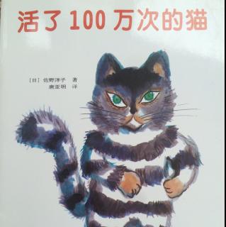 活了100万次的猫