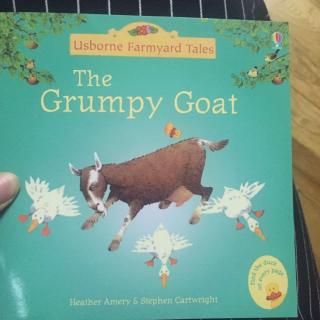 The grumpy goat