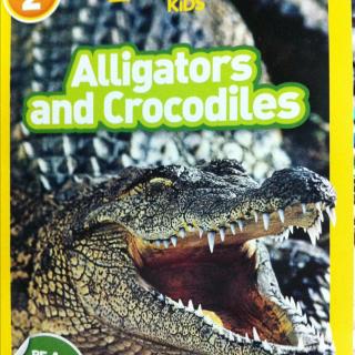 Alligators and Crocodiles