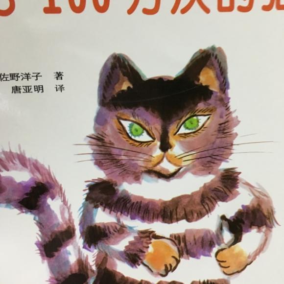 活了一百万次的猫