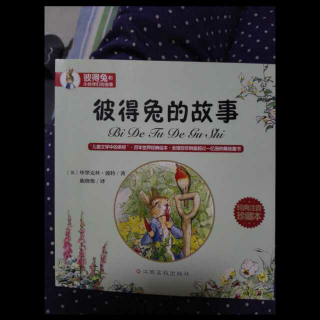 妈妈讲《彼得兔的故事1902》