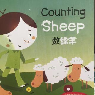 英文绘本《Counting sheep》- 数绵羊