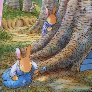 ｛绘本廊｝春天的兔子（宝贝渴望有个弟弟或妹妹吗）