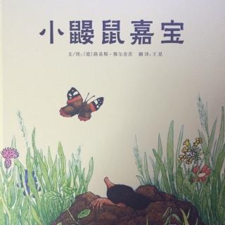 小鼹鼠嘉宝