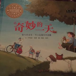 奇妙的一天