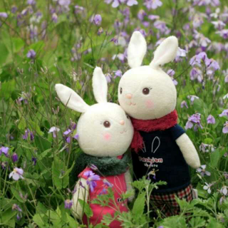 #夏日甜心#懒小米（大兔子和小兔子的故事）