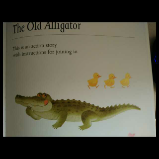 游戏绘本The Old Alligator