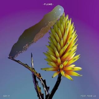 hello_mija 10.Flume-Say it