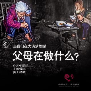 Vol 14【静夜思绪】当我们在大谈理想的时候，父母在做什么-星乐