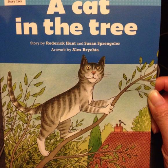 a cat in the tree