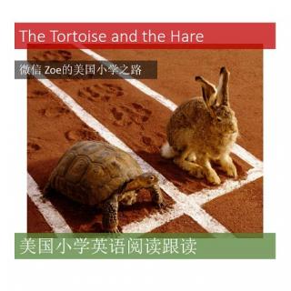 美国小学英语阅读跟读The Tortoise and the Hare