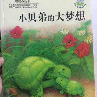 暖暖心绘本《小贝弟的大梦想》