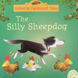 The silly sheepdog