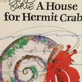 <A house for hermit crab>