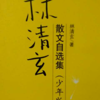 《软枝杨桃》林清玄☆何国利☆