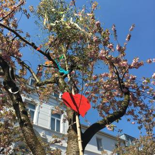 在德国的浪漫五月里用树表白！