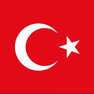 土耳其公民或将免签游欧洲