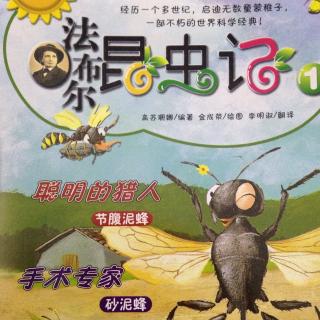 法布尔昆虫记节腹泥蜂自动保鲜的食物