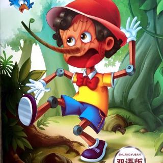 the adVentures of Pinocchio 