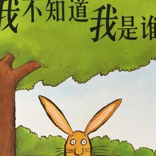 我不知道我是谁