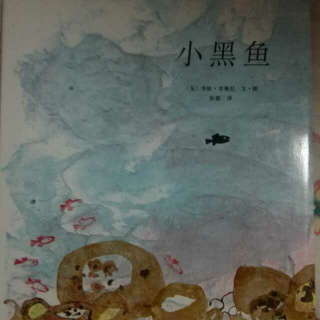 小黑鱼