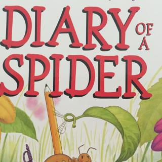 Diary of a Spider