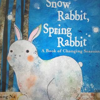 Snow rabbit，Spring rabbit