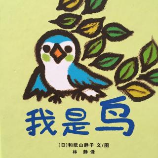 81.  我是鸟