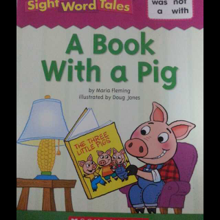 A Book With a Pig(14)-第十八天