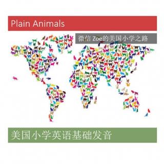 美国小学英语基础发音情景练习Plain Animals