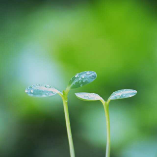 飞机上的睡美人（下）