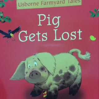 Pig gets lost