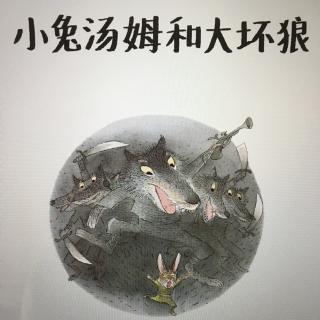 🐰小兔汤姆和大坏狼🐺